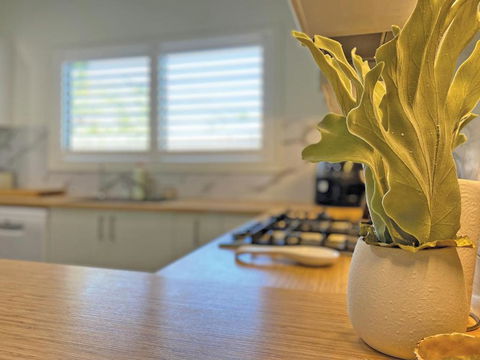Apipi Holiday House - Accommodation Search 4