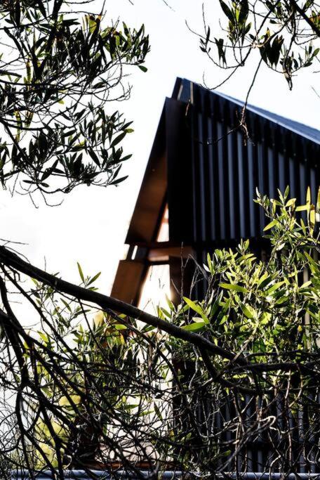 Apollo Bay House - Accommodation Search 2