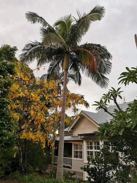 Arcadia House - Accommodation Search 3