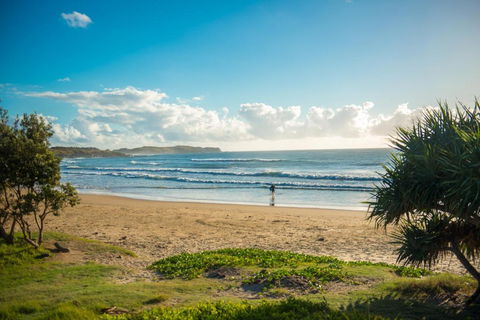 ArtHOUSE Beachfront Accommodation - Accommodation Search 1