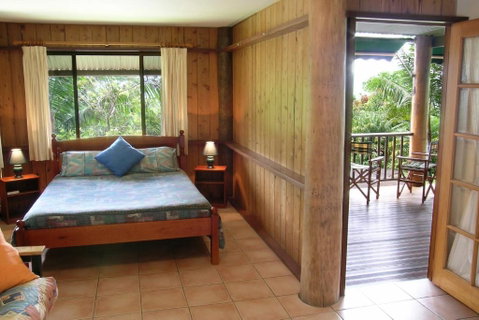 Atherton Blue Gum - Accommodation Search 1