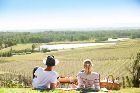 Audrey Wilkinson Vineyard - Accommodation Search 0
