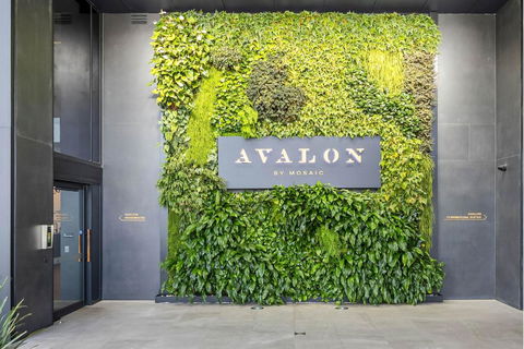 Avalon Resort Maroochydore - Accommodation Search 2
