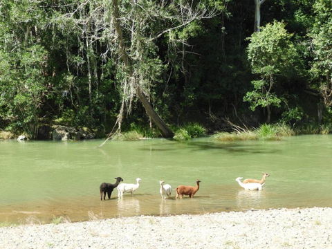Avalon River Retreat - 400 Acre Riverside Oasis - Accommodation Search 4