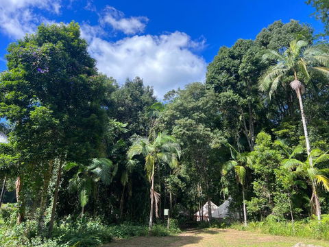 Avana Byron Glamping - Accommodation Search 2