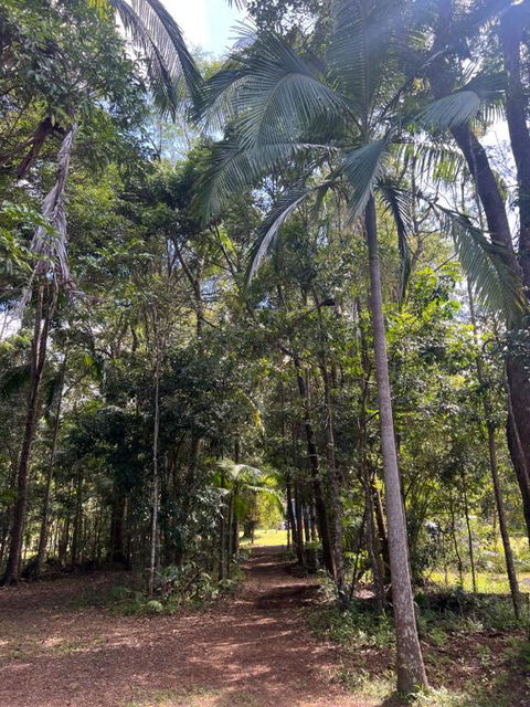 Avana Byron Apartment - Accommodation Search 4