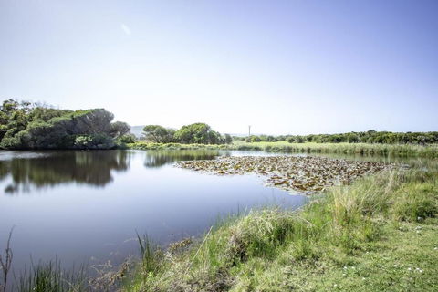 Apollo Bay Cottages- Sabine - Accommodation Search 3