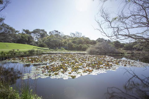 Apollo Bay Cottages- Sabine - Accommodation Search 4