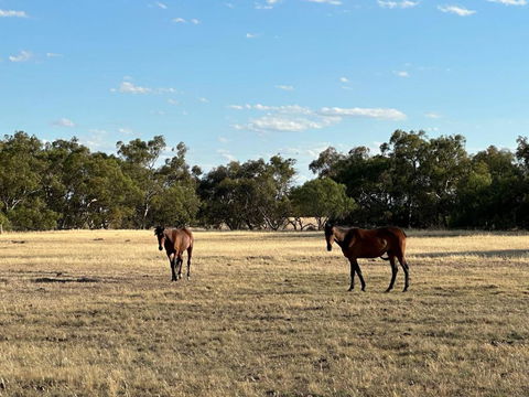 Banyena Homestead By Tiny Away - Accommodation Search 2