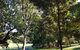 Bee-Haven Cottage - thumb 7