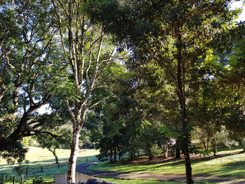 Bee-Haven Cottage - Accommodation Search 7