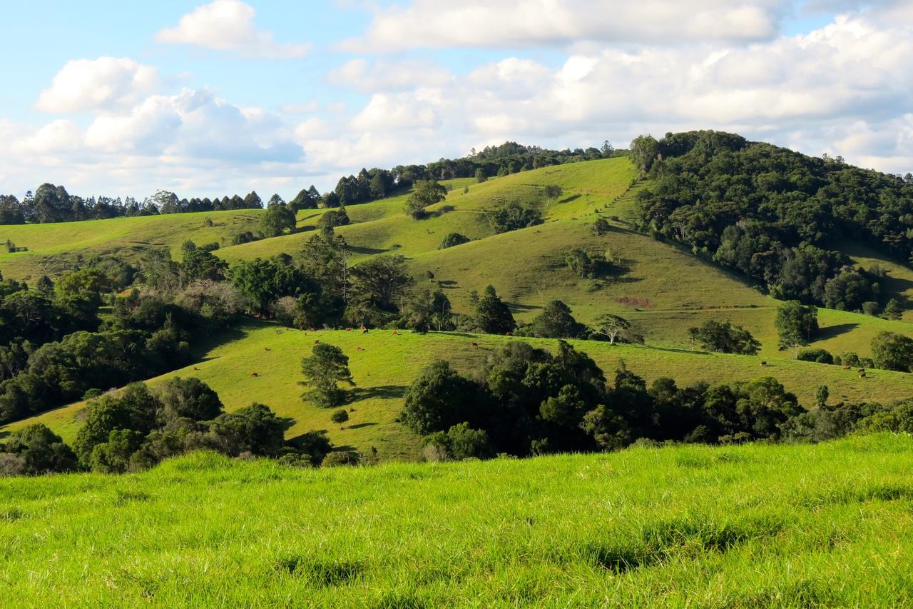 Reesville QLD Accommodation Search
