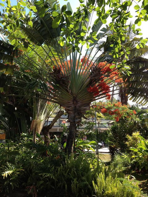 Port Douglas Apartments - Adults Only Oasis - Accommodation Search 39