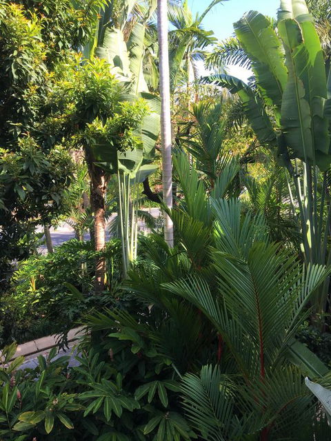 Port Douglas Apartments - Adults Only Oasis - Accommodation Search 1
