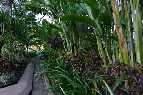 Port Douglas Apartments - Adults Only Oasis - Accommodation Search 9