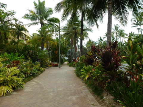 Martinique On Macrossan - Accommodation Search 22