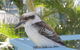 Moreton Island Villas And Apartments - thumb 16