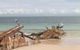 Moreton Island Villas And Apartments - thumb 30