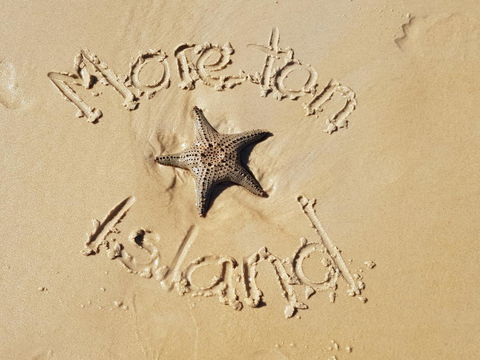 Moreton Island Villas And Apartments - Accommodation Search 31