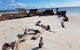 Moreton Island Villas And Apartments - thumb 23