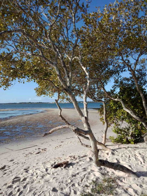 Modern Beach Villa - Accommodation Search 15