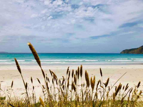 Modern Beach Villa - Accommodation Search 14