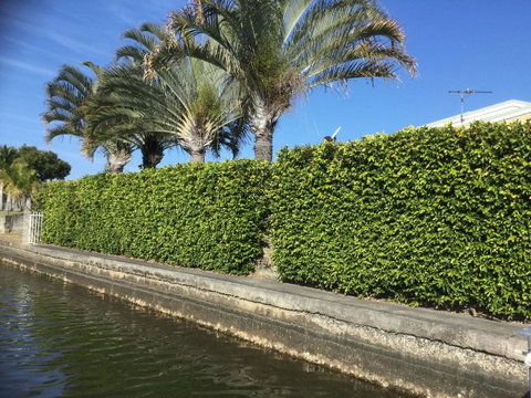 Private Canal Duplex With Pontoon - Oleander Drive, Bongaree - Accommodation Search 8