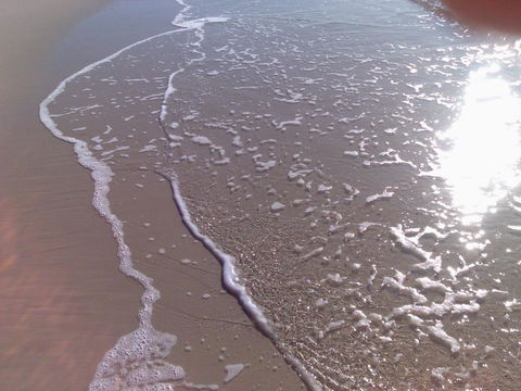 Close To Surf Beach, Surf Club, Hotel And Shops - Boyd St, Woorim - Accommodation Search 10