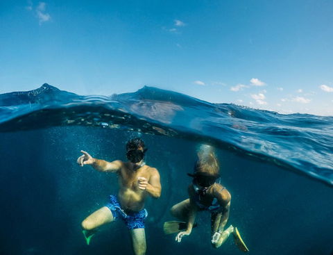Manta Lodge YHA & Scuba Centre - Accommodation Search 12