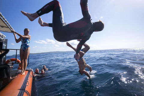 Manta Lodge YHA & Scuba Centre - Accommodation Search 11