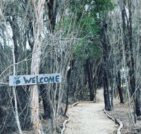 Flinders Island Glamping - Accommodation Search