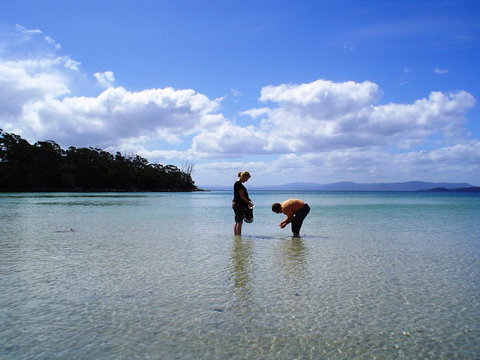 Bruny Island Escapes And Hotel Bruny - Accommodation Search 36