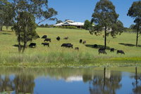 Book Nabiac Accommodation Vacations Accommodation Search Accommodation Search