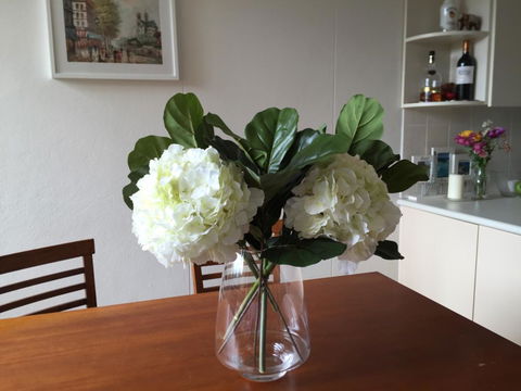 1-Bed Room In 2-bed Rooms Apartment Double Bay - Accommodation Search 3