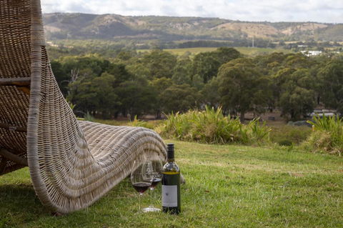 131 Your Vineyard Home In The Heart Of The Vale - Accommodation Search 0