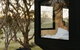 CABN Clare Valley - thumb 1