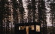CABN Kuitpo Forest - thumb 0