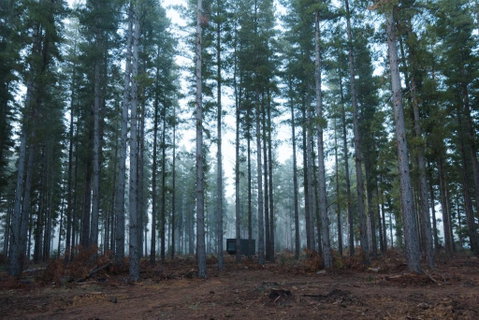 CABN Kuitpo Forest - Accommodation Search 2