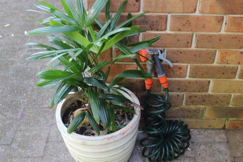 3 MELALEUCA - Accommodation Search 2