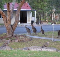 31 The Rocks - Accommodation Search