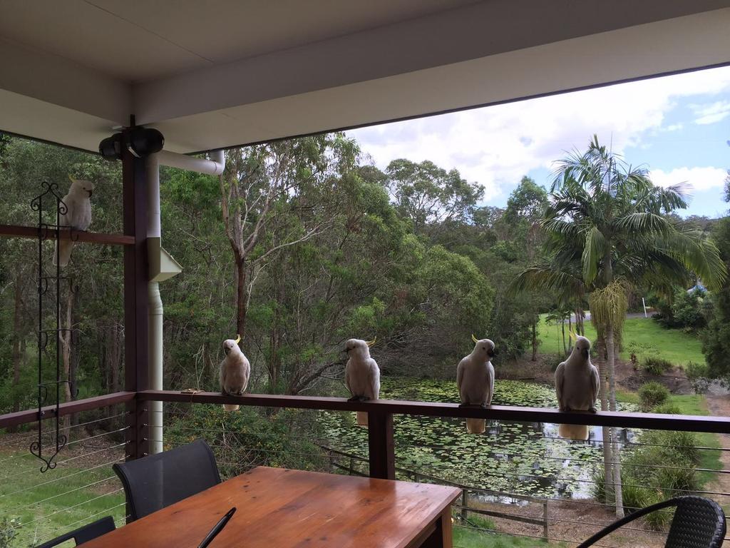 Accommodation Search