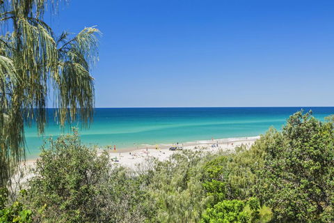 5 Bryan Street - Accommodation Search 1