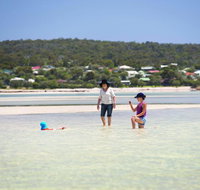 9 Marshall Street - Large Family Holiday Home just Metres to the Beach - Accommodation Search