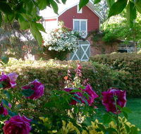 A Country Barn Retreat - Accommodation Search