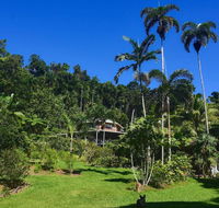 A Daintree Garden - Accommodation Search