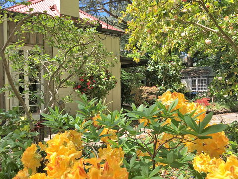 Adelaide Hills 'Camellia Cottage' - WiFi - Accommodation Search 1