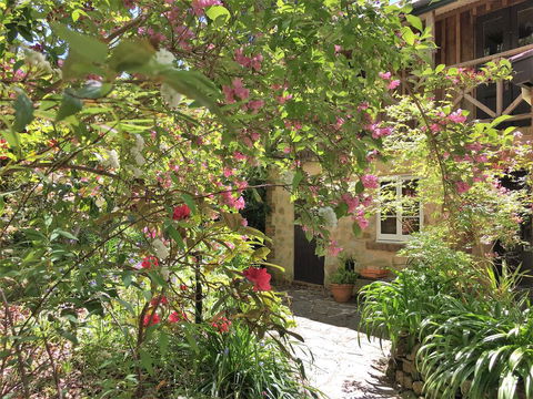 Adelaide Hills 'Camellia Cottage' - WiFi - Accommodation Search 2