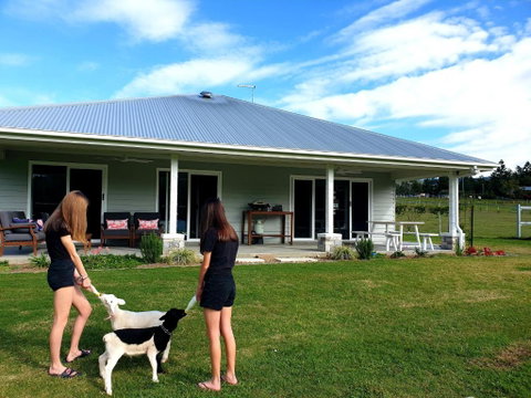 Fig Tree Farm B&B Highvale-Farmstay Near Brisbane! - Accommodation Search 0