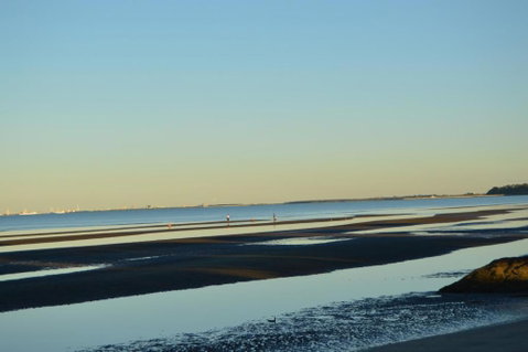 Flinders Seaside Cottage - Accommodation Search 3