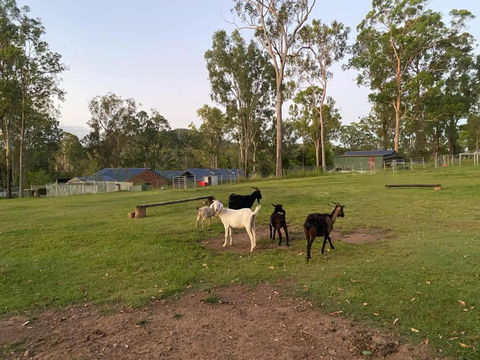 Gemmas Animal Farm By Tiny Away - Accommodation Search 2